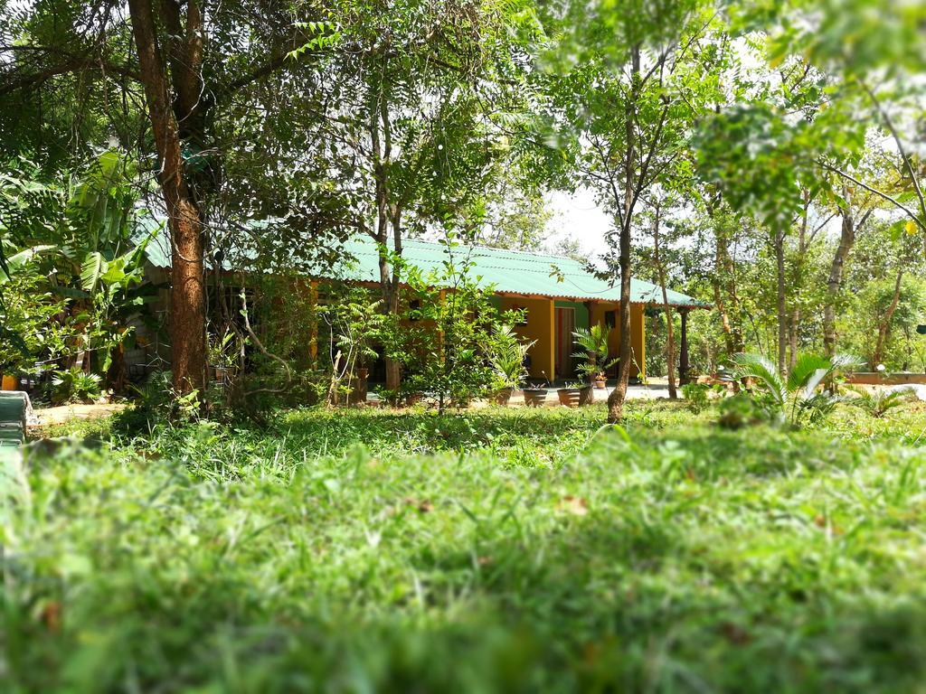 Sigiri La Veranda Lodge Kibissa Ngoại thất bức ảnh