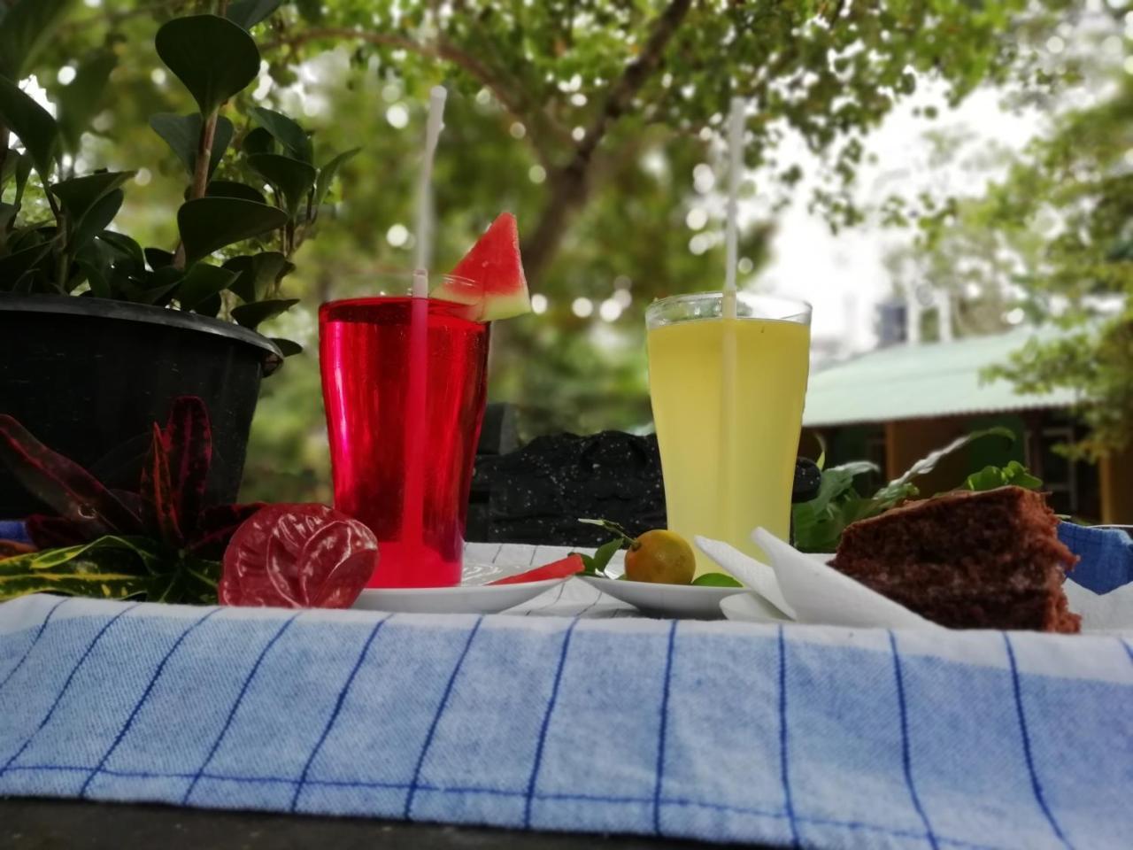 Sigiri La Veranda Lodge Kibissa Ngoại thất bức ảnh